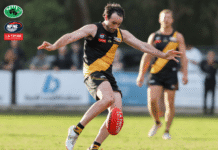 Tigers Too Good, Topple Magpies