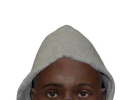 Police investigate attempted sexual assault