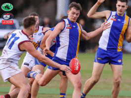 NFNL Division 2 – Round 13 Preview nfnl footy slider stock image