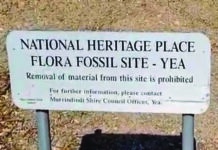 $40k grant for Yea fossil site project