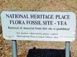 $40k grant for Yea fossil site project