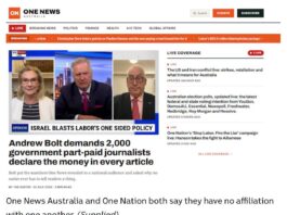 Hanson starts fake news website