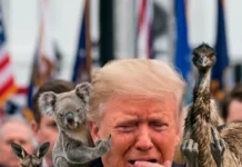 Aussies officially hate Trump’s guts