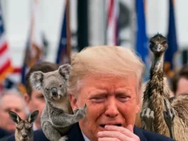 Aussies officially hate Trump’s guts