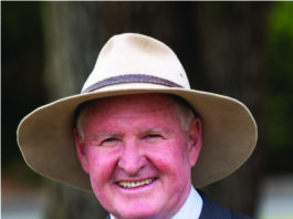 Mansfield Mayor Cr Steve Rabie