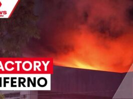 Firefighters extinguish Westmeadows factory fire