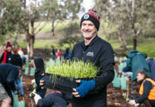 Dig in for National Tree Day nillumbik tress planting