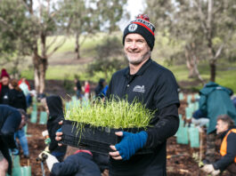 Dig in for National Tree Day nillumbik tress planting