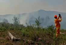 New landscape data proves invaluable for fire preparedness
