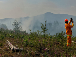 New landscape data proves invaluable for fire preparedness