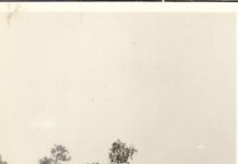 August 7, 1928: Dingo hunter Frederick Brooks is killed, sparking the Coniston Massacre fred dowling grave