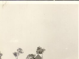 August 7, 1928: Dingo hunter Frederick Brooks is killed, sparking the Coniston Massacre fred dowling grave