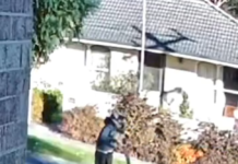 Appeal for public assistance following assault