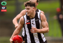 NFNL Division 1 – Round 15 Preview