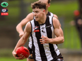 NFNL Division 1 – Round 15 Preview
