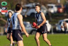 NFNL Division 1 – Round 16 Review
