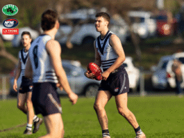 NFNL Division 1 – Round 16 Review