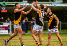 NFNL Division 1 – Round 17 Review