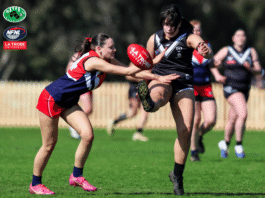 Ivanhoe Advance to Division 2 Decider, Macleod to Division 3