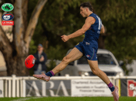 NFNL Division 2 – Finals Week One Preview