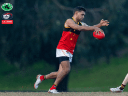 NFNL Division 2 – Round 17 Review