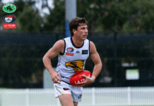 NFNL Division 2 – Round 18 Review