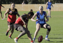 NFNL Division 2 – Finals Week One Review