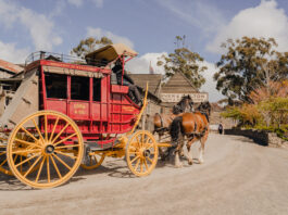 August 9, 1851: Gold is discovered at Sovereign Hill, Ballarat horse and carriage cobb n co
