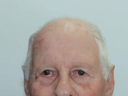 Search for 85-year-old man missing from Harrietville