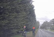 Expensive lesson for learner rider
