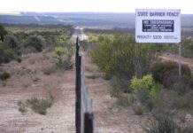 August 19, 1907: The rabbit-proof fence, the longest fence in the world, is completed rabbit proof fence