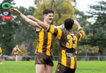 NFNL Division 3 – Round 17 Review nfnl division 3 slider