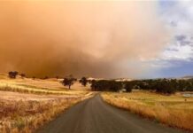 Murrindindi welcomes Bushfire Inquiry report and calls for action