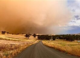 Murrindindi welcomes Bushfire Inquiry report and calls for action