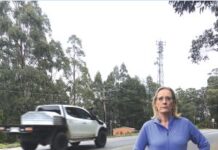 Dangerous roads in Kinglake’s fog Cindy McLeish MLA in Kinglake