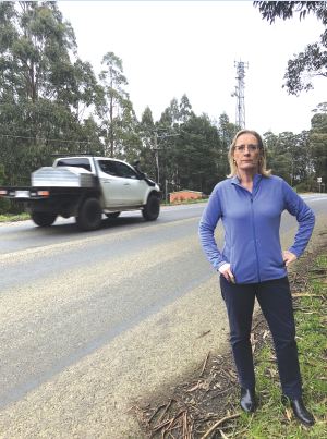 Cindy McLeish 1 Cindy McLeish MLA in Kinglake