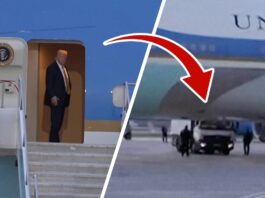 Trump hides in catering cart