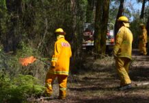Successful planned burning season CFA burn offs