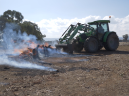Prepare early this spring and register burn-offs online tractor burn off paddock