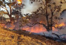 Victorian fire season to officially begin