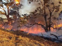 Victorian fire season to officially begin