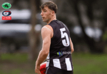 NFNL Division 1 – Preliminary Final Preview
