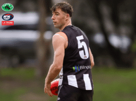 NFNL Division 1 – Preliminary Final Preview