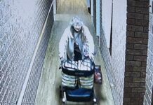 Search for missing Warrnambool woman Sharon
