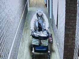 Search for missing Warrnambool woman Sharon
