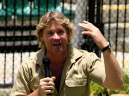Steve Irwin