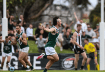 NFNL Division 1 – Preliminary Final Review greensborough vs montmorency footy nfnl