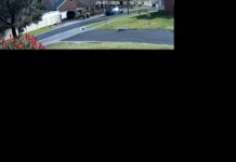Police investigate home invasion