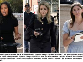 MS NOW, CNN and Politico journalists denied access to White House us barred white house journalists trump maga gop