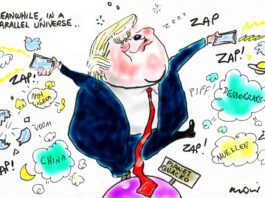 Alan Moir 27/112019 Trump